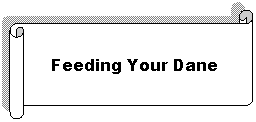 Horizontal Scroll: Feeding Your Dane
