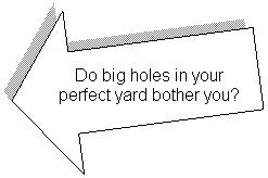 Left Arrow: Do big holes in your perfect yard bother you?
